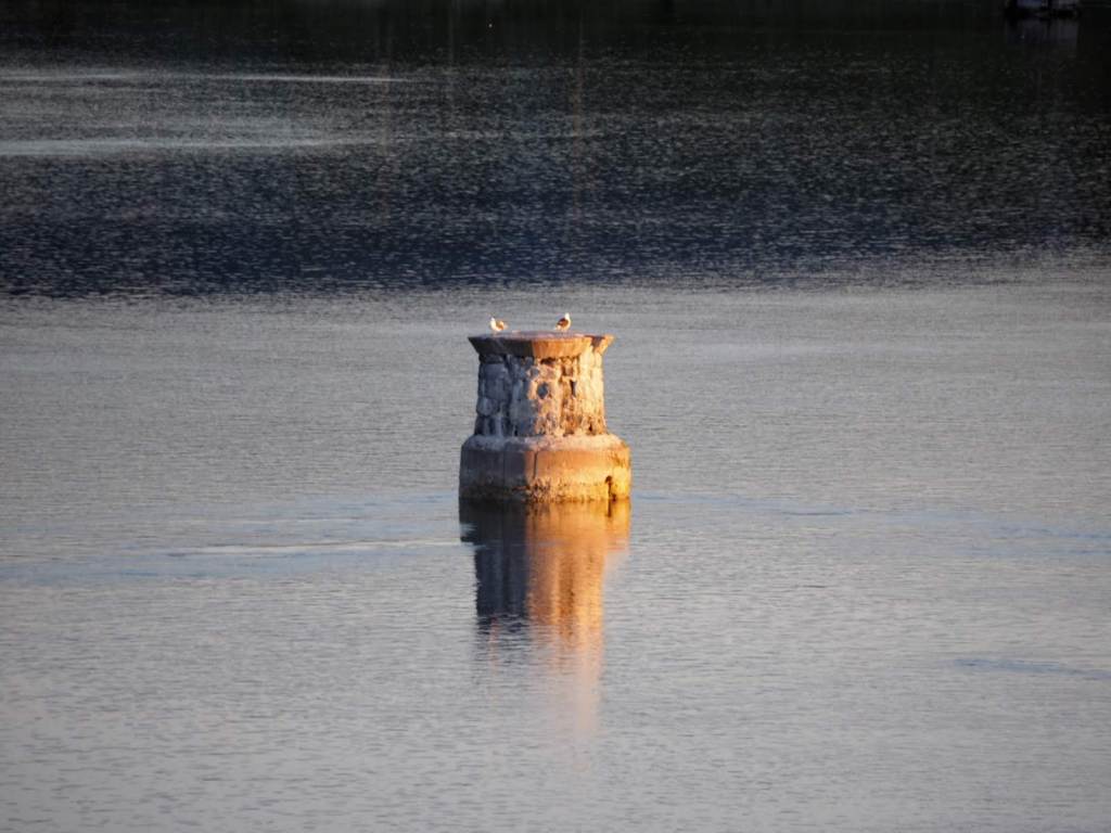 vruising-the-norwegian-fjords-norway