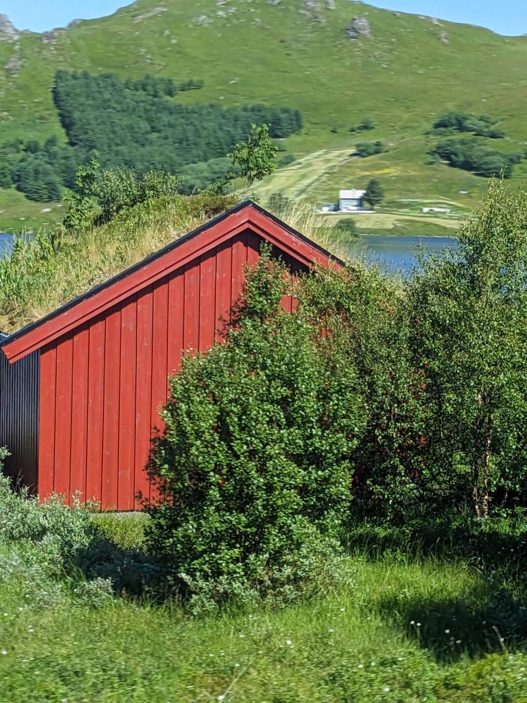 grass-rooves-on-the-lofoten-islands-norway