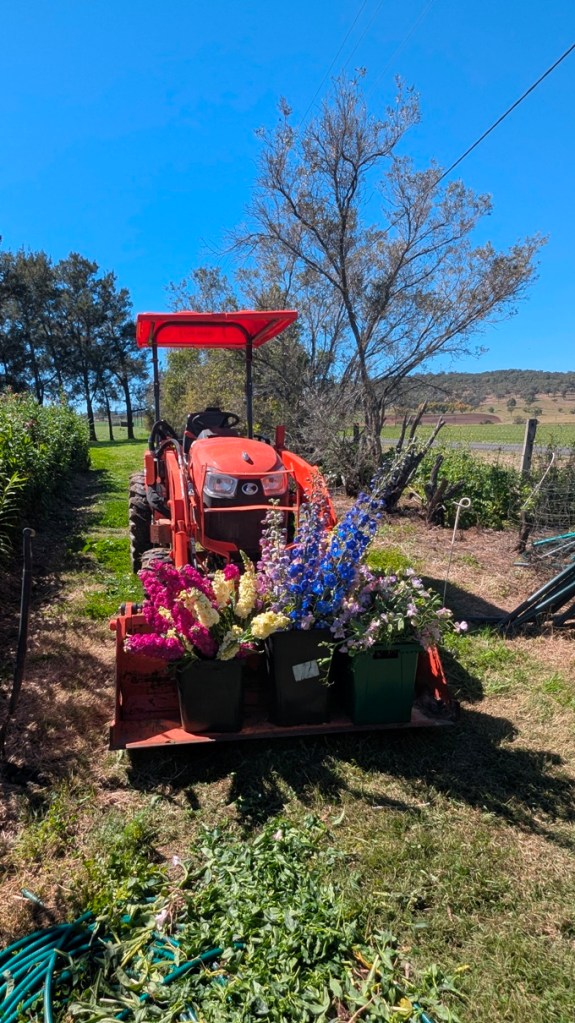 A unique way to deliver flowers to Elderflower Farm Shop - by tractor