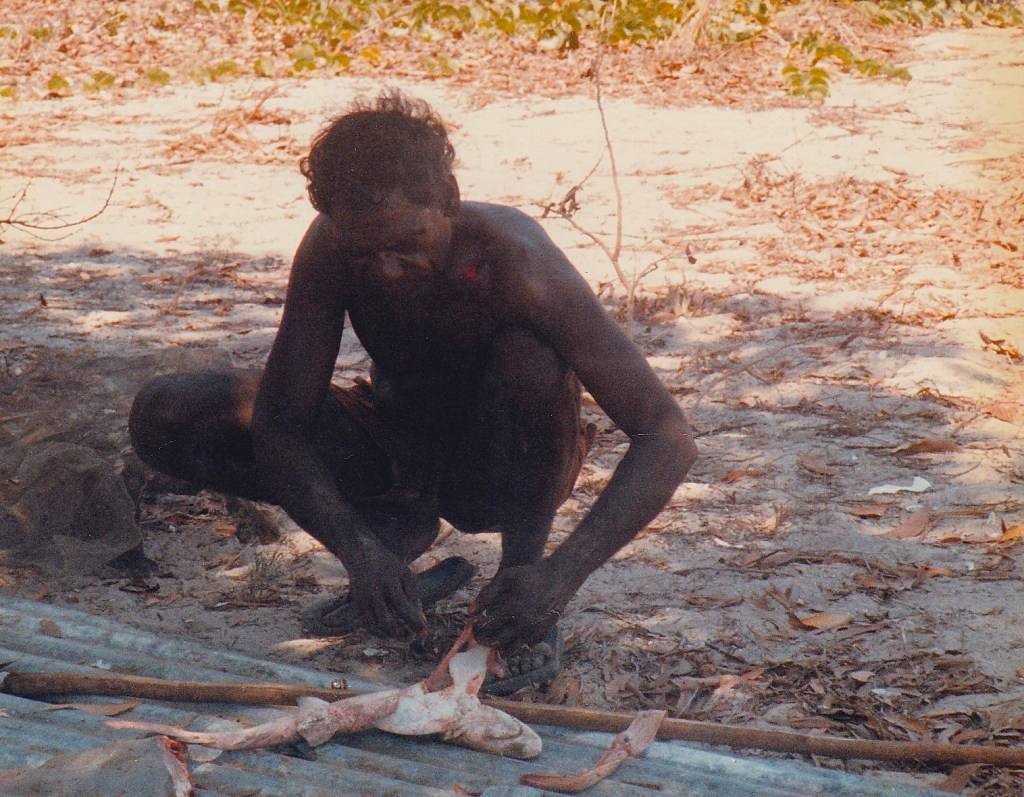 Preparing_shark_to_cook_on_an_open_fire_in_Arnem_Land_Northern_Territory_Australia