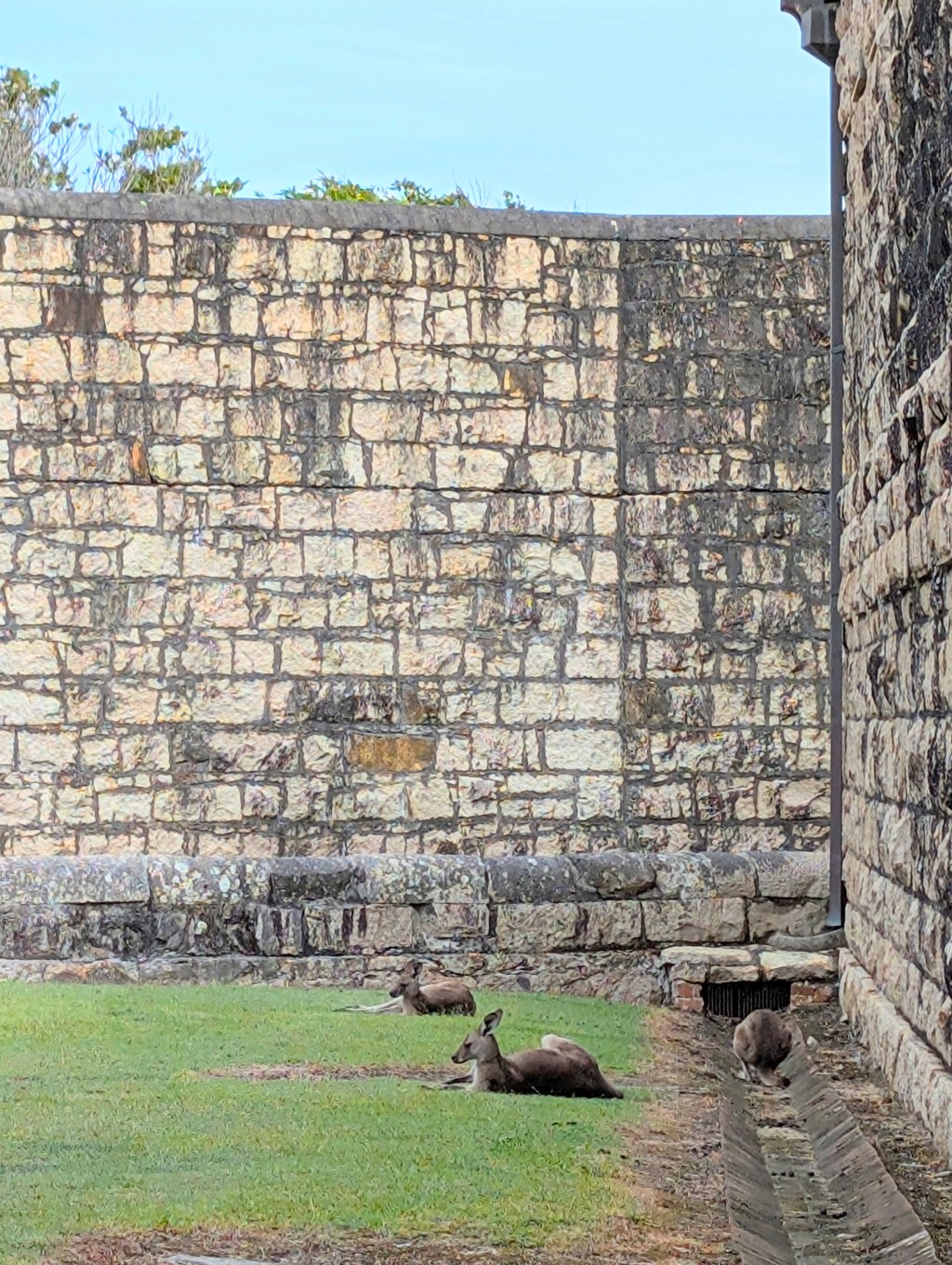 From Shipwreck to Ruin – The Trial Bay Gaol&nbsp;Story