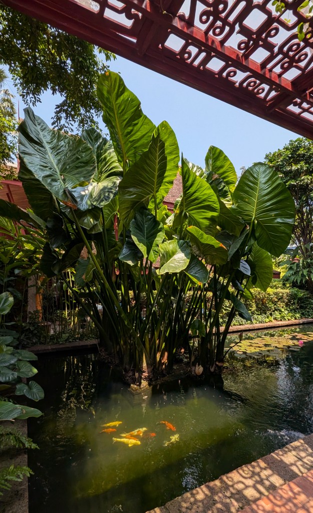 Koi pond at Jim Thompson House