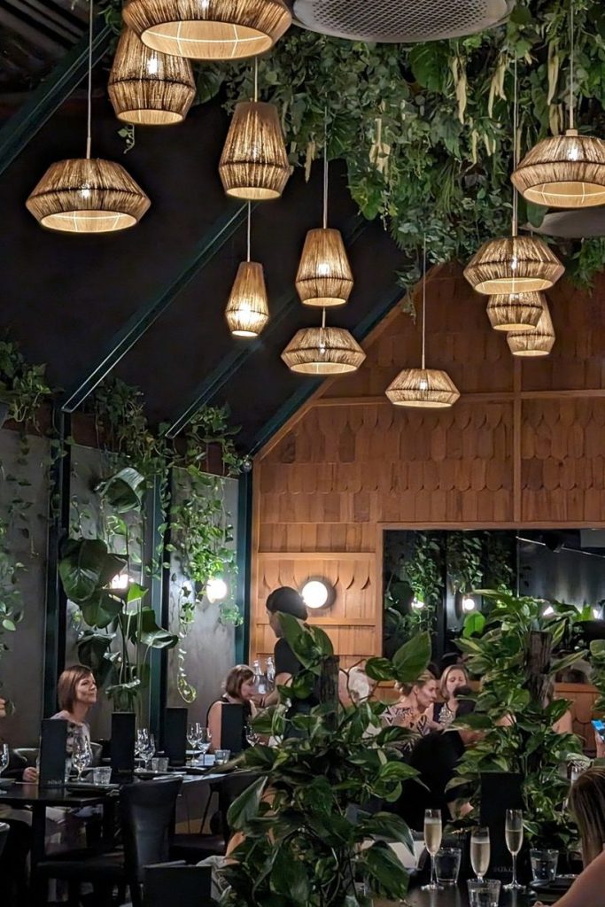 SOKO Rooftop Restaurant & Bar in Brisbane - 'Welcome to the Jungle', a lush land of culinary wonder
