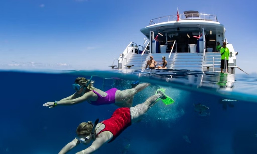Go diving in crystal clear blue waters off Queensland's coast